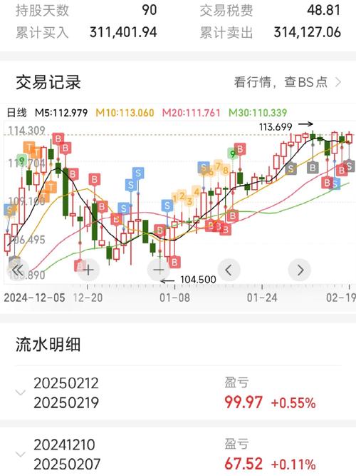 210009基金今日估值多少？-第2张图片-华宇铭诚