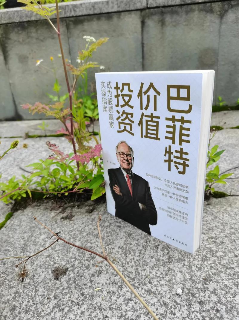 a类与b类投资者有何核心区别?-第3张图片-华宇铭诚 a类与b类投资者有何核心区别?-第3张图片-华宇铭诚