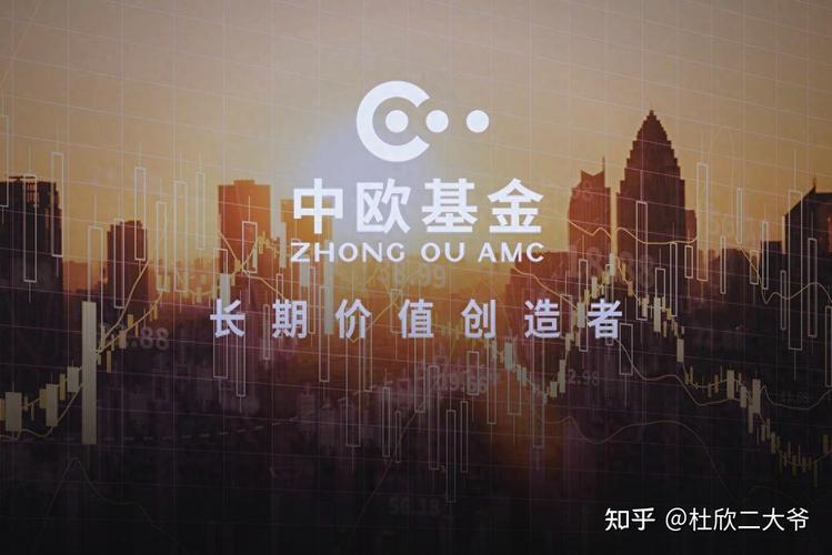 166001中欧新趋势基金表现如何？-第2张图片-华宇铭诚