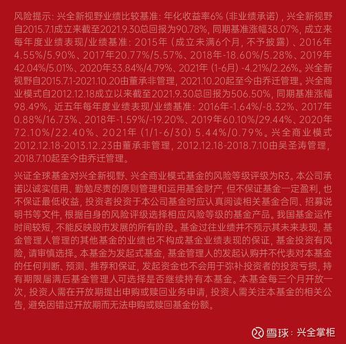 兴全新视野基金净值表现如何？-第1张图片-华宇铭诚