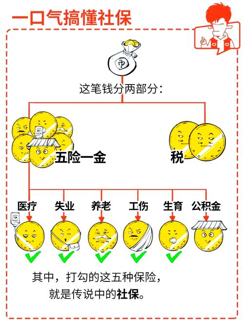 全国社保基金组合具体指什么?-第1张图片-华宇铭诚 全国社保基金组合具体指什么?-第1张图片-华宇铭诚