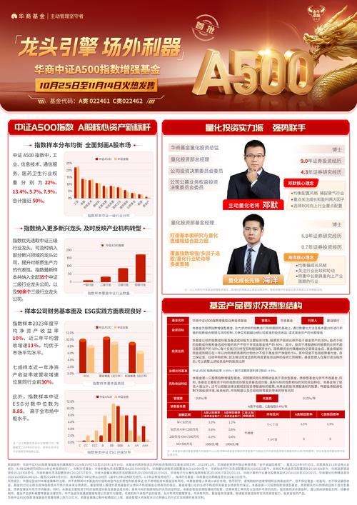 华商盛世基金630002表现如何？-第3张图片-华宇铭诚