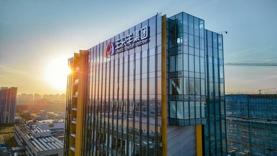 武汉黑羊投资担保公司可靠吗？-第2张图片-华宇铭诚