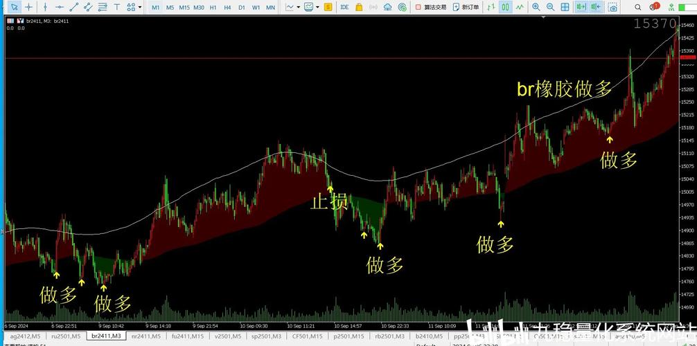 期货指标公式真能精准捕捉买卖点吗？-第3张图片-华宇铭诚