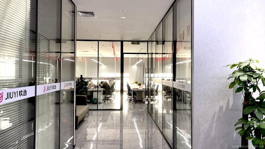 上海玖逸投资有限公司是何背景？-第2张图片-华宇铭诚