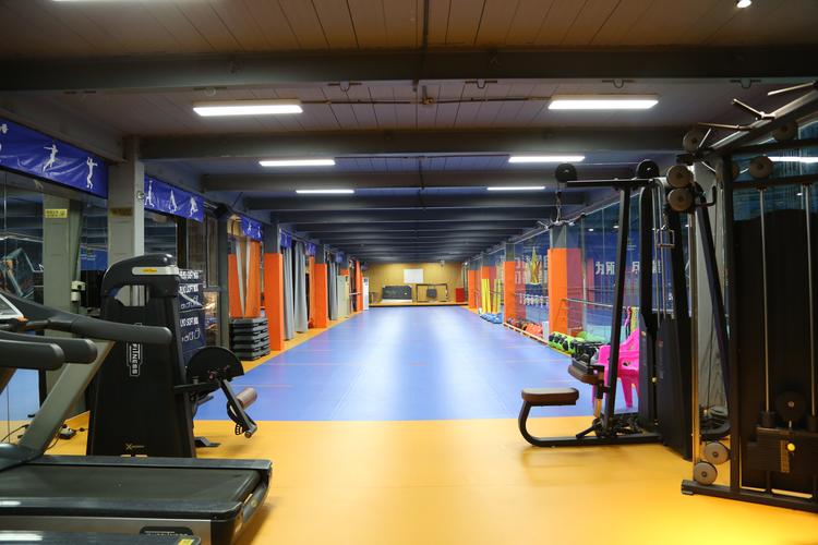 深圳尊道投资有限公司是做什么的？-第3张图片-华宇铭诚