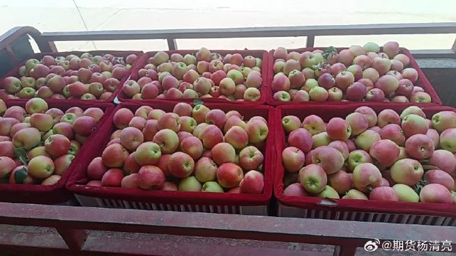 苹果期货属于商品期货吗？-第1张图片-华宇铭诚
