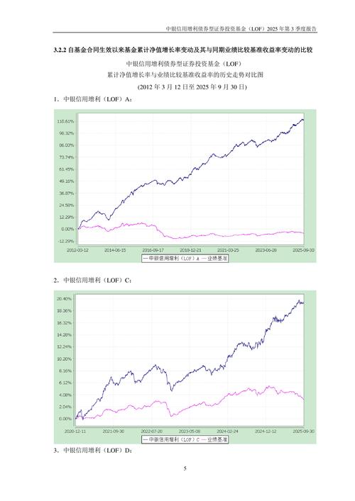 中银中国基金163801表现如何？-第3张图片-华宇铭诚