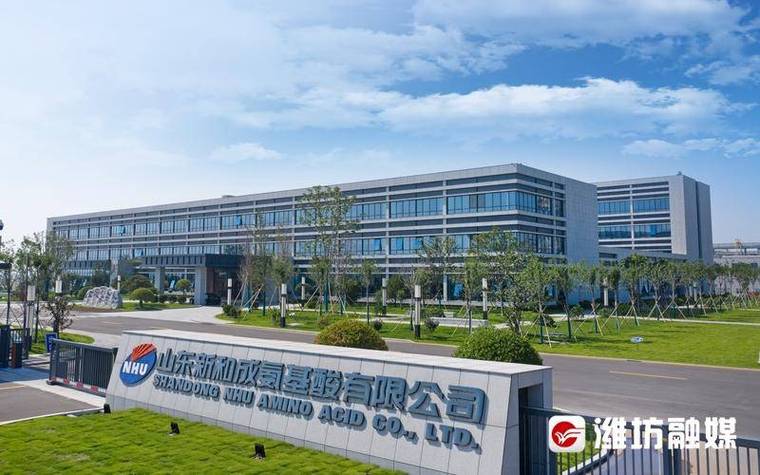 淘润投资控股是做什么的？-第1张图片-华宇铭诚