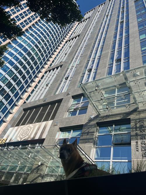 深圳金石投资有限公司是做什么的?-第3张图片-华宇铭诚 深圳金石投资有限公司是做什么的?-第3张图片-华宇铭诚