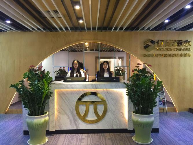 深圳中仁资本投资集团是做什么的？-第3张图片-华宇铭诚