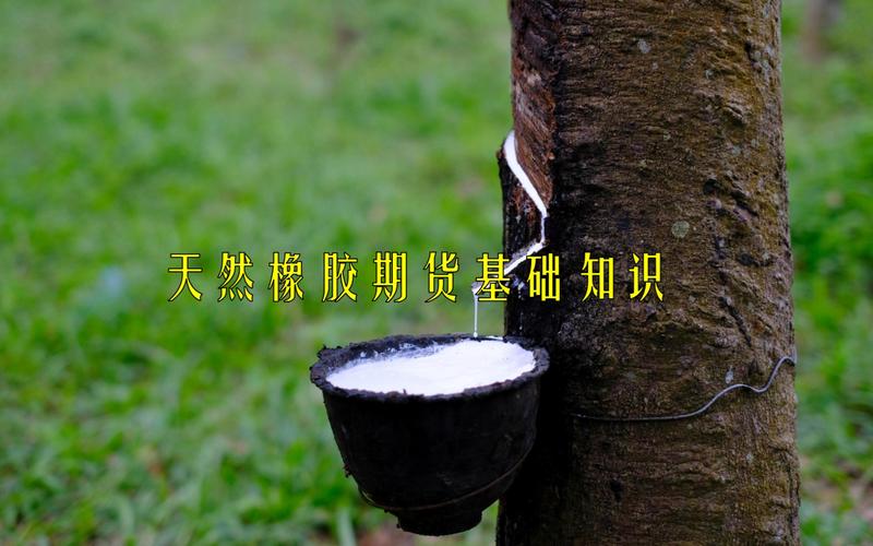 橡胶期货属于商品期货吗?-第2张图片-华宇铭诚 橡胶期货属于商品期货吗?-第2张图片-华宇铭诚