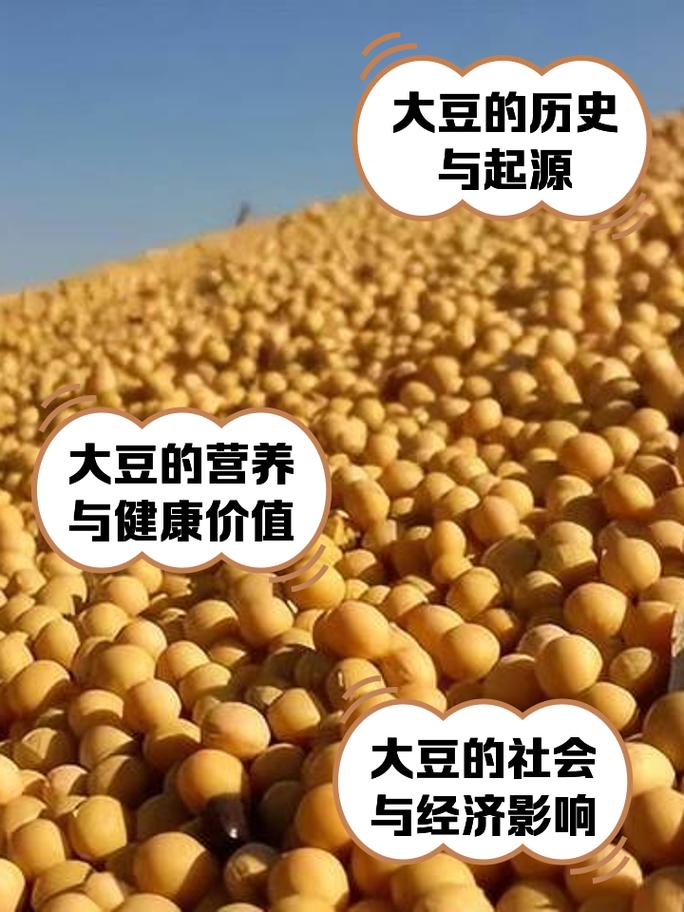 大豆期货为何属于金融期货?-第2张图片-华宇铭诚 大豆期货为何属于金融期货?-第2张图片-华宇铭诚