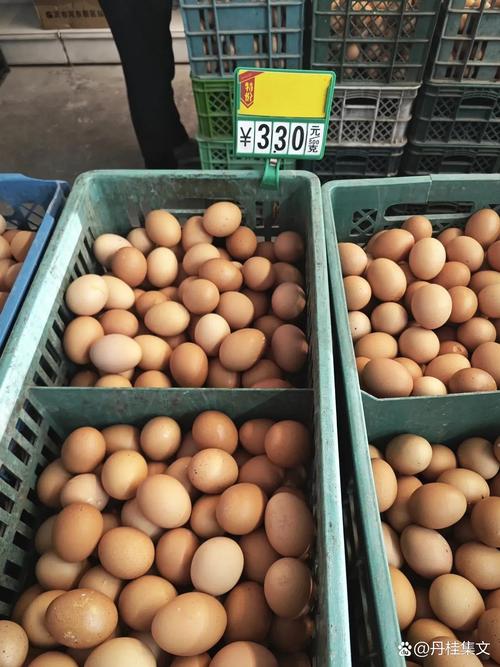 鸡蛋期货现货价差因何悬殊？-第2张图片-华宇铭诚