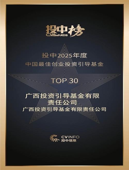 广西政府投资引导基金如何引导投资？-第1张图片-华宇铭诚