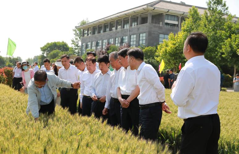 现代种业发展基金有限公司有何使命与目标？-第3张图片-华宇铭诚