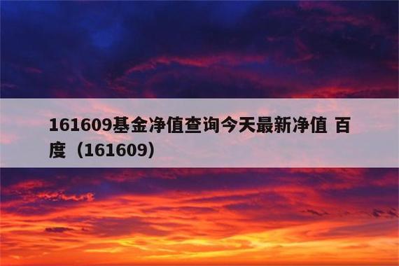 161609基金今天净值-第2张图片-华宇铭诚