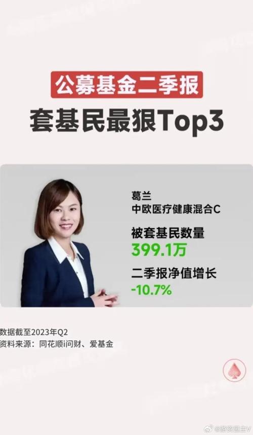 001117中欧精选基金-第2张图片-华宇铭诚