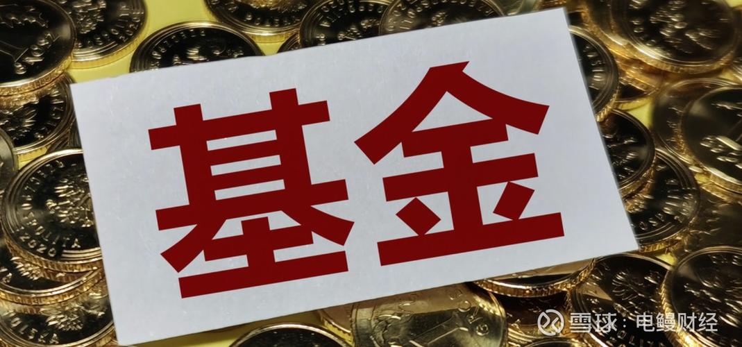 001117中欧精选基金-第1张图片-华宇铭诚