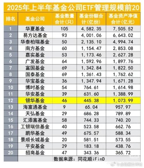 2025年基金收益哪家强？冠军花落谁家？-第3张图片-华宇铭诚
