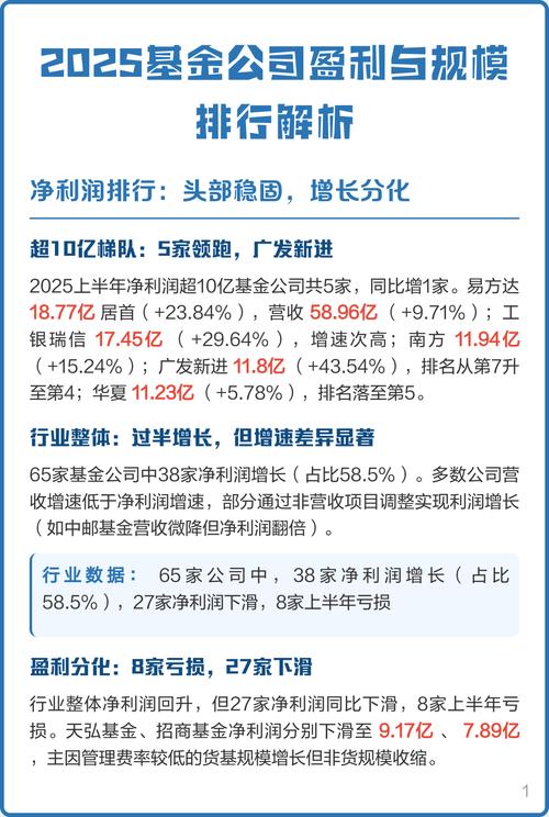2025基金公司排名如何？哪家更强？-第3张图片-华宇铭诚
