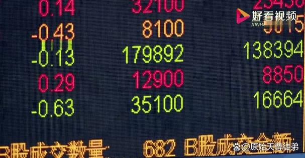 蚂蚁五只基金如何科学配置？-第3张图片-华宇铭诚