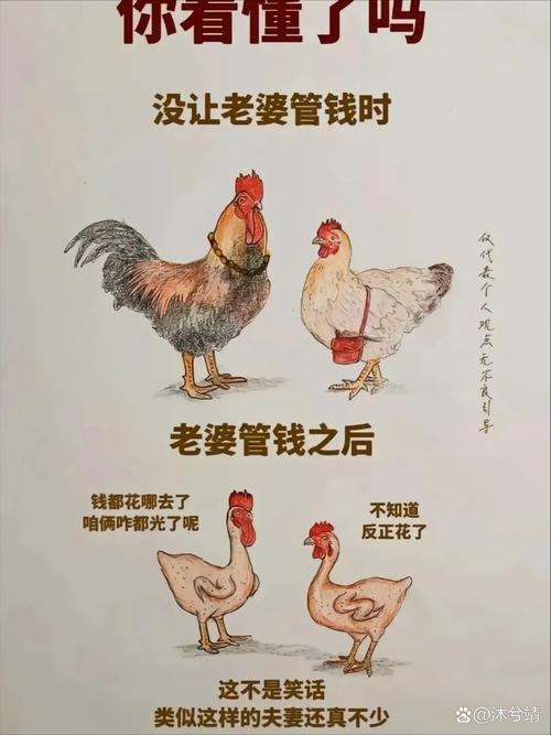 如何做好做期货的老婆-第2张图片-华宇铭诚