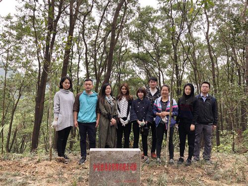 中长胜基金管理有限公司怎么样？-第2张图片-华宇铭诚