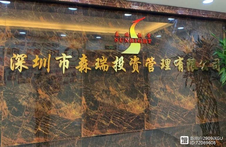 深圳森瑞投资有限公司怎么样？-第3张图片-华宇铭诚