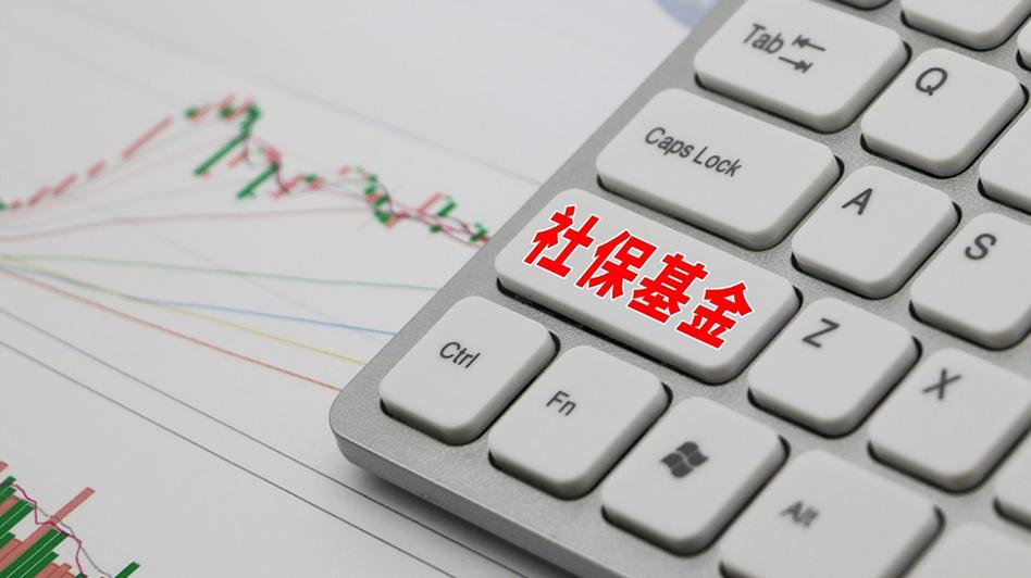 全国社保基金一零一组合-第2张图片-华宇铭诚