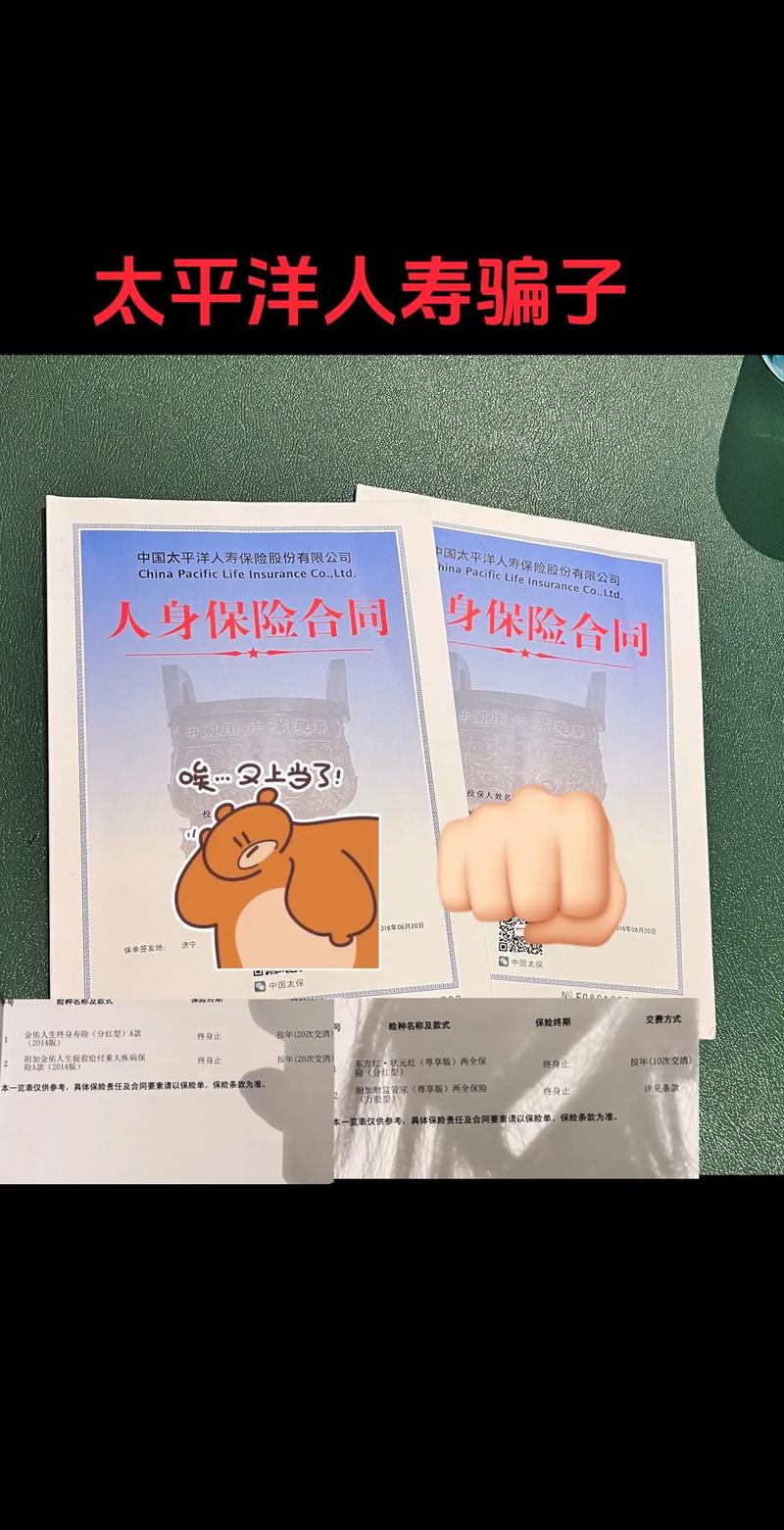 太平洋保险投资了哪些项目？-第3张图片-华宇铭诚