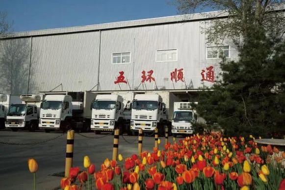 顺通投资管理有限公司-第3张图片-华宇铭诚