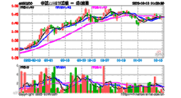 中银中证100基金净值-第2张图片-华宇铭诚