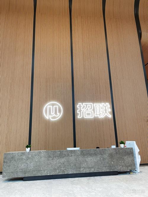 银悦投资管理有限公司怎么样？-第3张图片-华宇铭诚