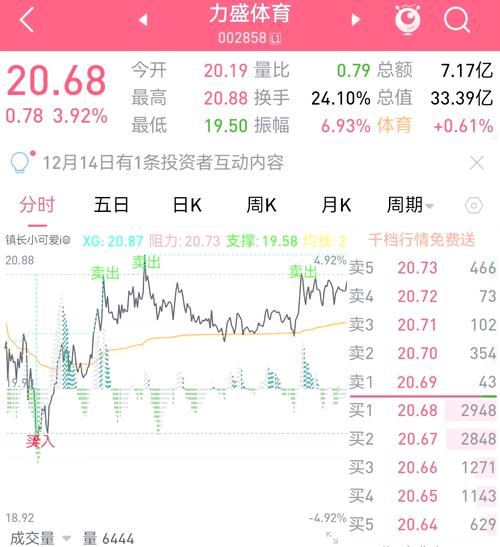 上海期货交易是T+0吗？-第1张图片-华宇铭诚