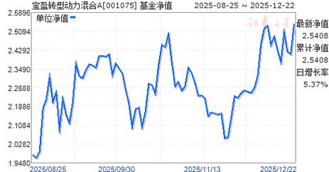 宝盈新价值混合基金净值表现如何？-第3张图片-华宇铭诚