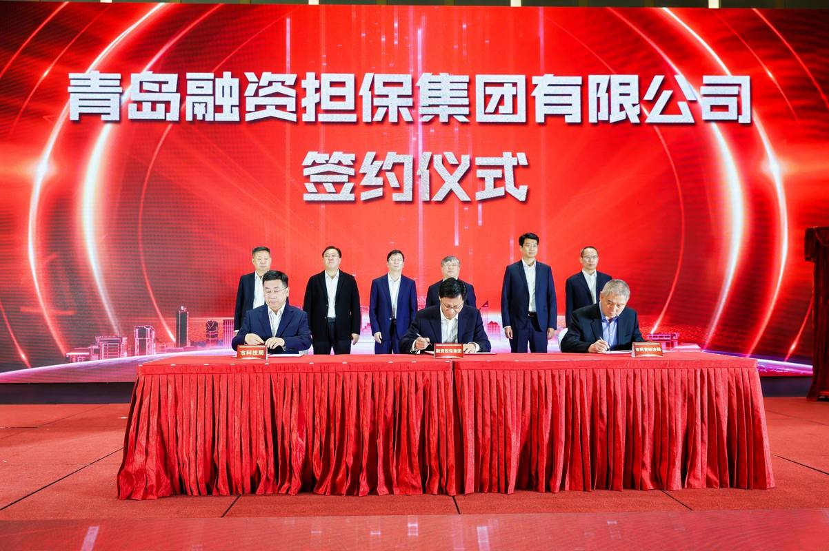 融资担保公司对外投资-第2张图片-华宇铭诚