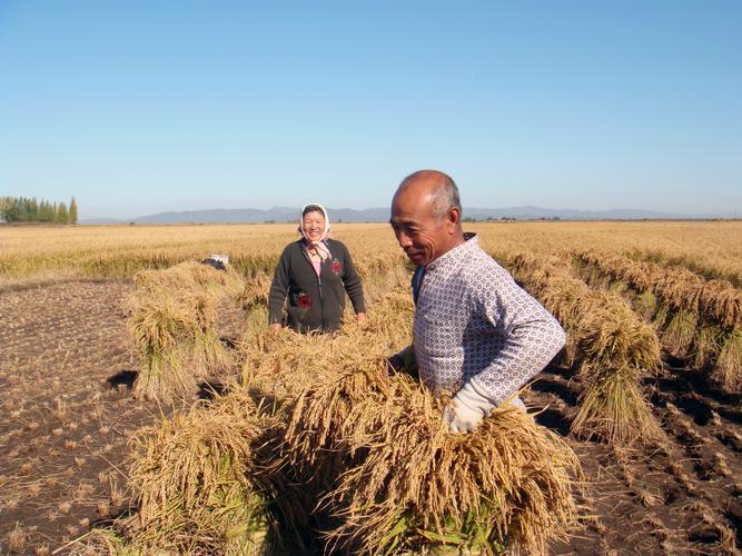 汤丹松农投资农业有何布局？-第3张图片-华宇铭诚