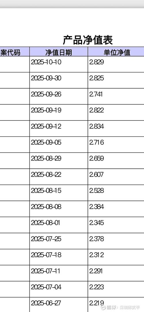 20007基金今日净值是多少？-第2张图片-华宇铭诚
