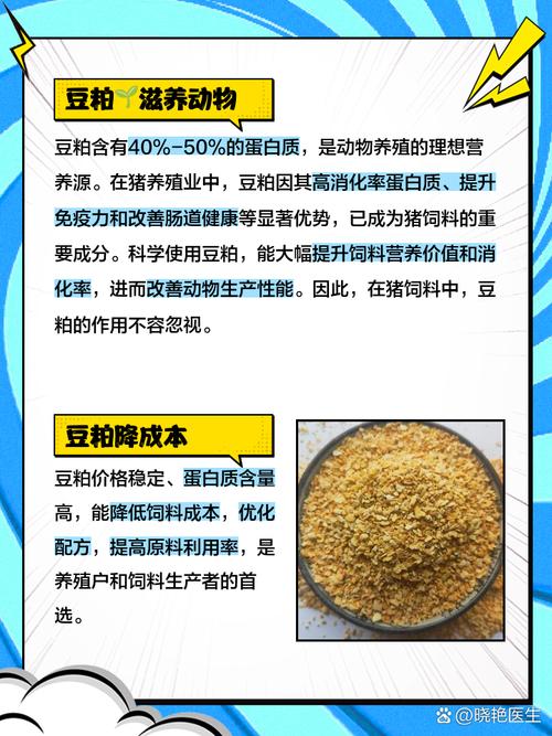 豆粕期权和期货的区别-第2张图片-华宇铭诚