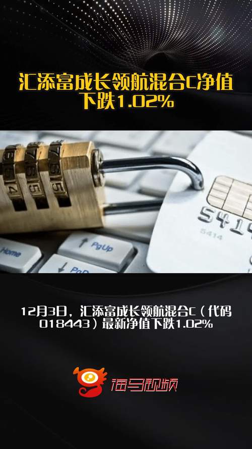 汇添富成长焦点基金净值今日多少？-第1张图片-华宇铭诚