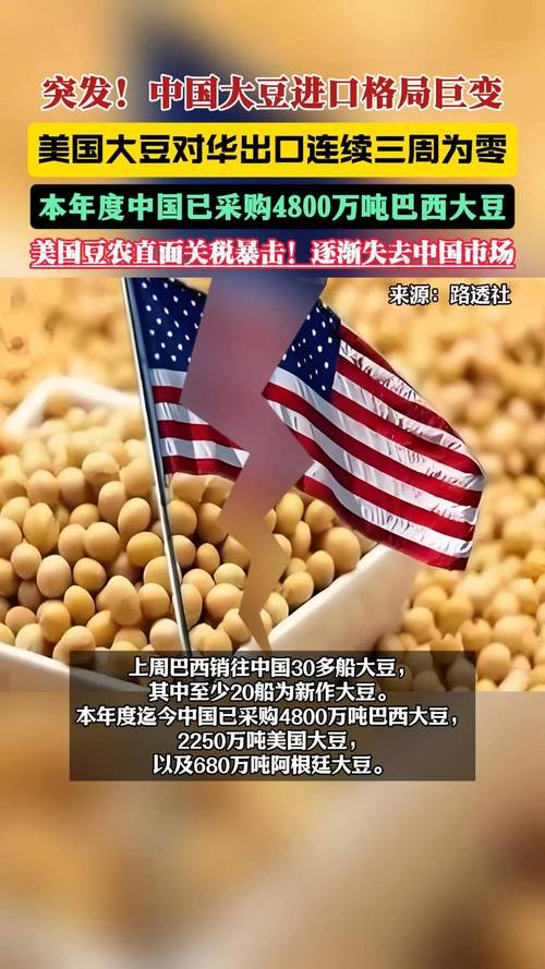 美国大豆期货最新行情如何?-第2张图片-华宇铭诚 美国大豆期货最新行情如何?-第2张图片-华宇铭诚