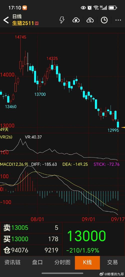 期货杠杆最大品种是哪个？-第2张图片-华宇铭诚