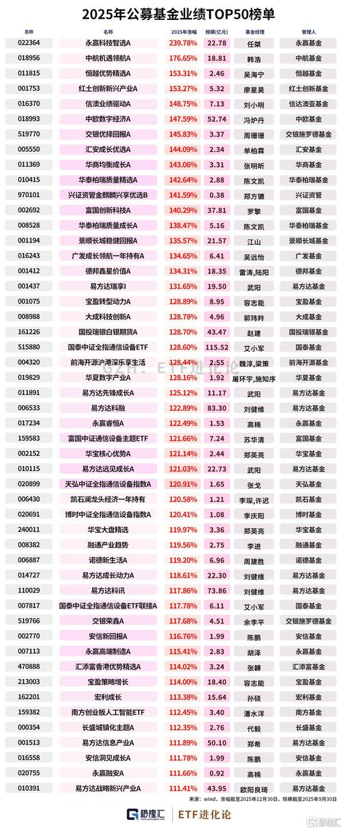 2025混合基金排名怎么排？哪些基金更值得关注？-第2张图片-华宇铭诚