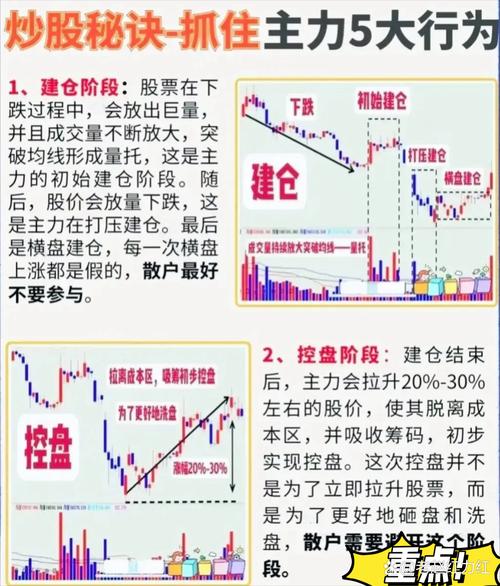 股指期货增减仓如何查询？-第3张图片-华宇铭诚