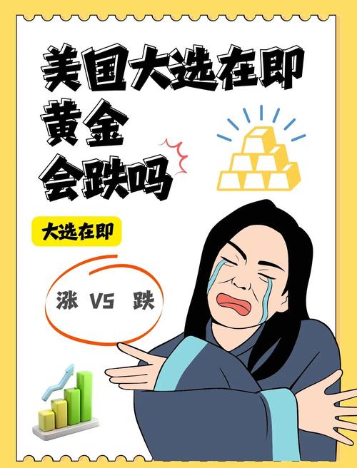 美国大选如何影响投资市场？-第1张图片-华宇铭诚