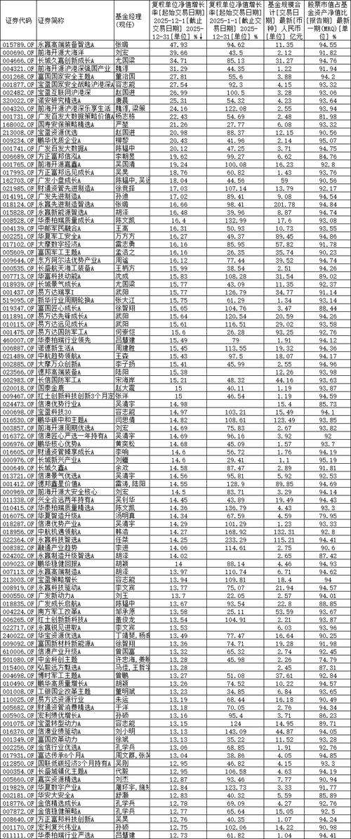 2025基金收益排名哪家强？-第3张图片-华宇铭诚
