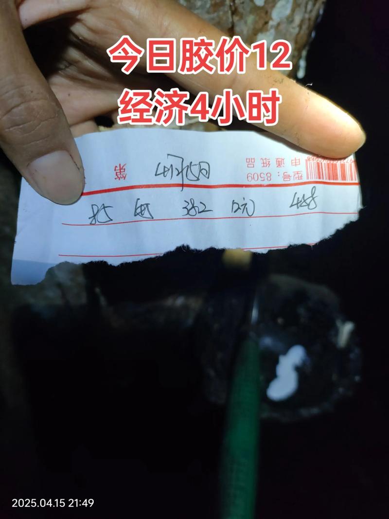 泰国天然橡胶期货价格未来走势如何?-第1张图片-华宇铭诚 泰国天然橡胶期货价格未来走势如何?-第1张图片-华宇铭诚