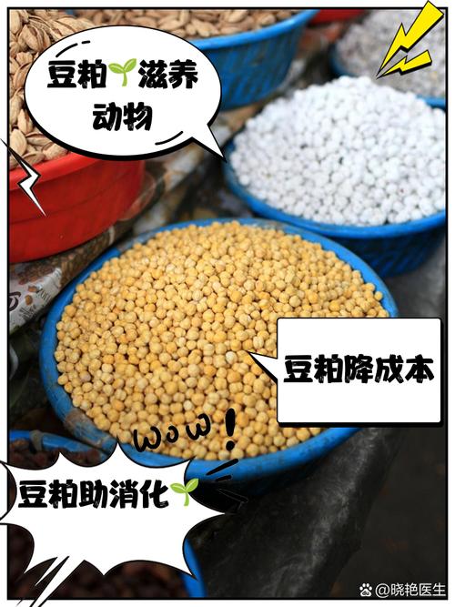 期货豆粕一手交易成本多少？-第2张图片-华宇铭诚