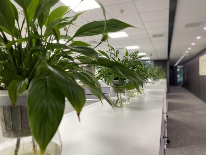 北京中融基金有限公司是何背景？-第2张图片-华宇铭诚